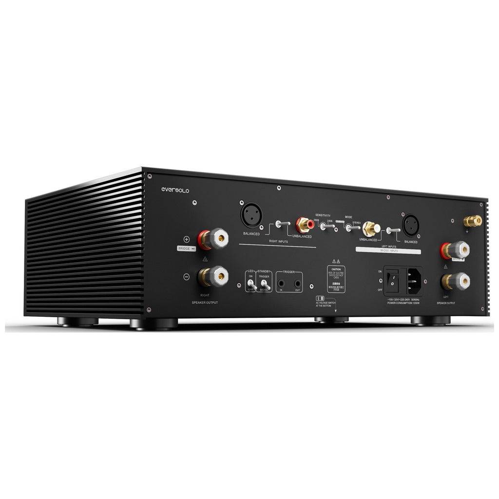 Eversolo AMP-F8 power amplifier, rear angled view of inputs and speaker terminals